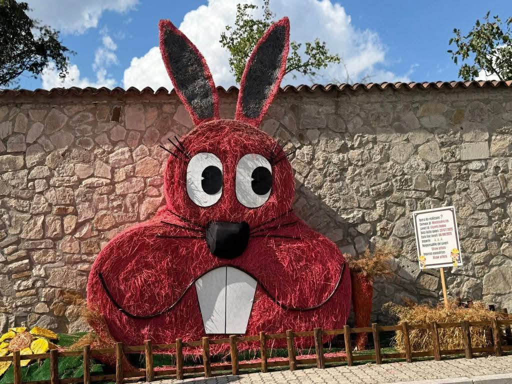 Nemo, scultura di paglia